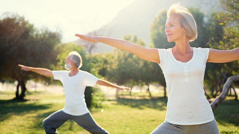 Healthy Joints for Active Lifestyles: Best Supplements for Osteoarthritis