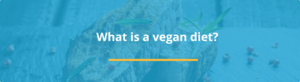 vegan 3